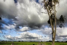 开云官网-英国网球队险胜日本网球队,瓦林卡统治全场——精彩瞬间引发热议