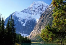 开云体育在线-魔术完胜篮网,米尔萨普一己之力扛起全队的篮球奇迹