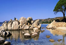 开云体育在线-魔术完胜篮网,米尔萨普一己之力扛起全队的篮球奇迹