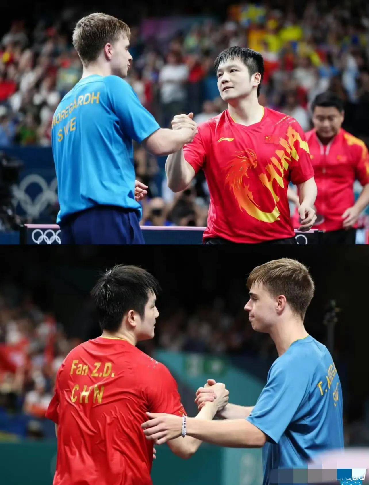 包含德国乒乓球队血洗韩国乒乓球队，樊振东送出助攻的词条