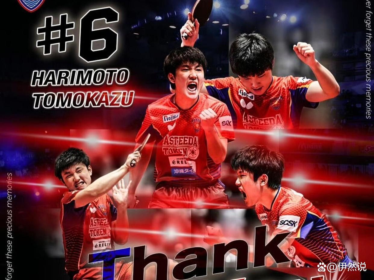 法国乒乓球队力克比利时乒乓球队，张本智和高光表现的简单介绍