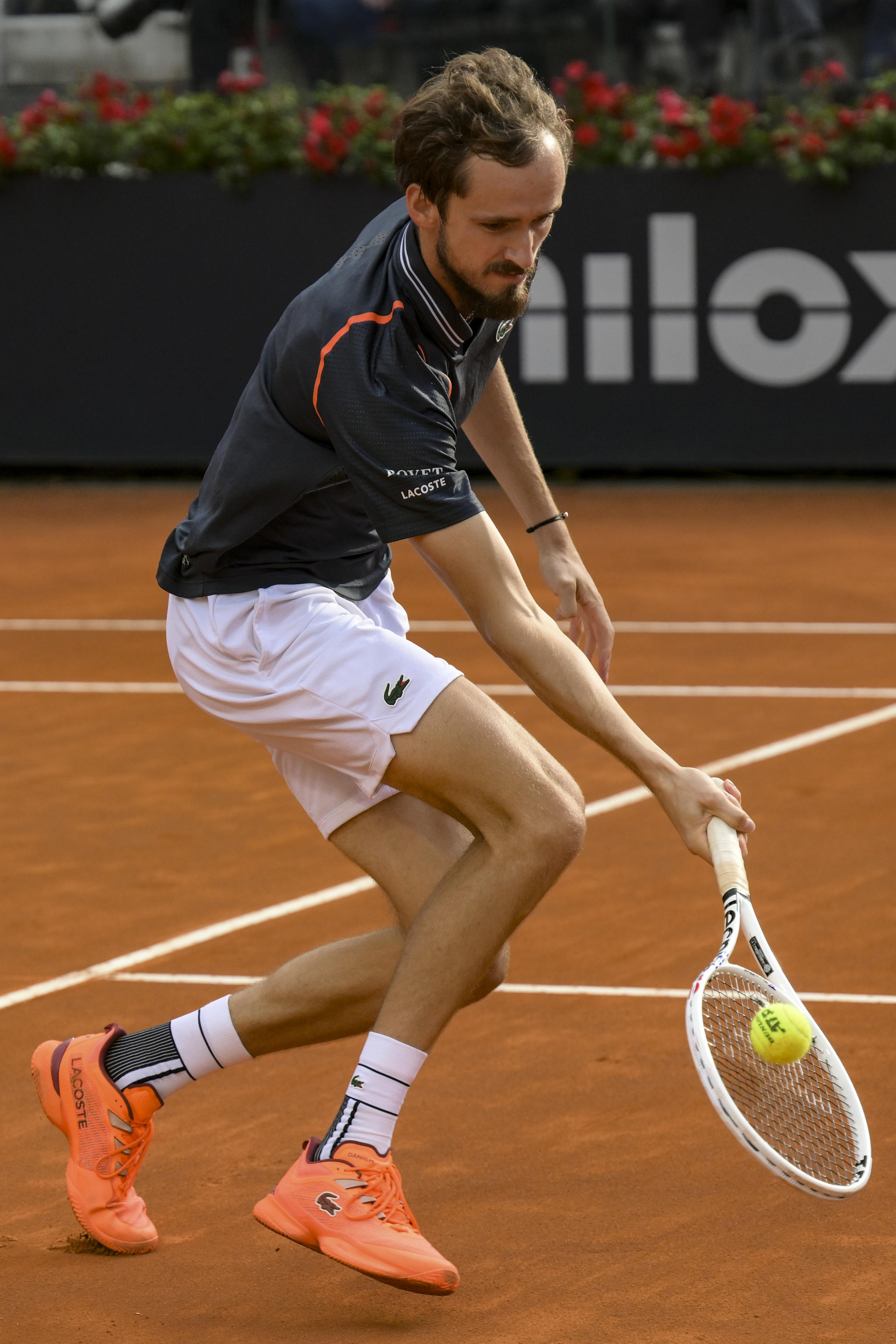 意大利网球队逆转欧洲网球队，梅德韦杰夫高光表现的简单介绍